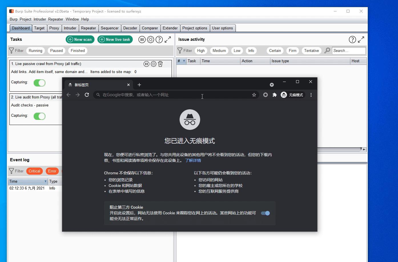 BurpSuite最新，探索网络安全领域的先锋工具