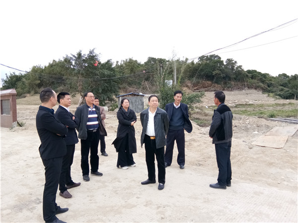 尖山区农业农村局最新动态报道