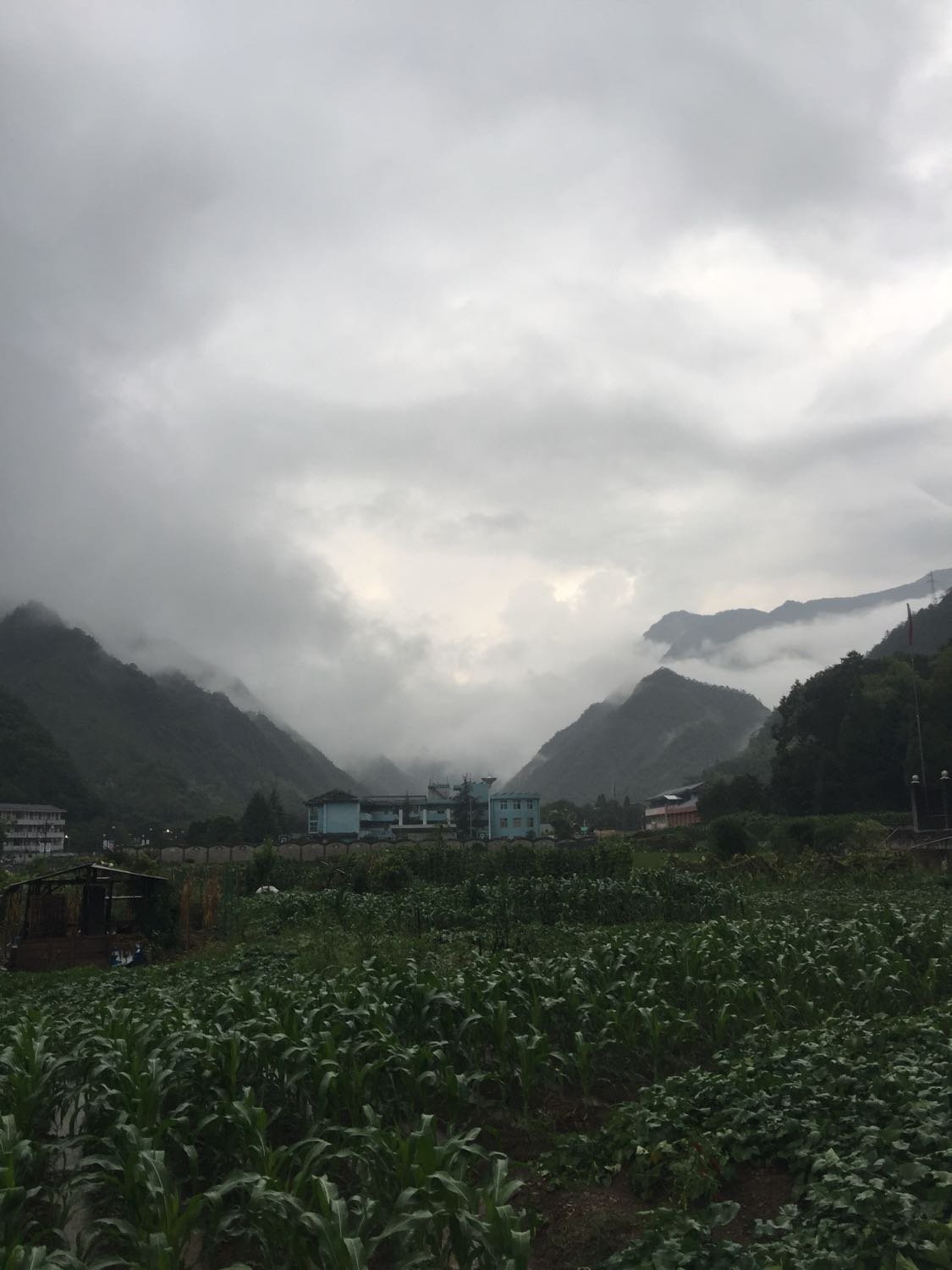龙峡村委会最新天气预报通知
